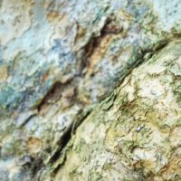 Avalis - Photography 2