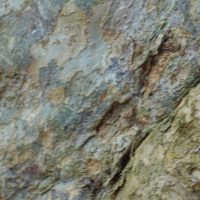 Avalis - Photography 3