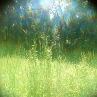 Heaven Photography