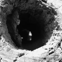 Kyan Photography