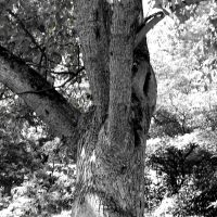 Milana Photography 3